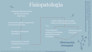 Fisiopatologia
Colonización bacteriana
de las vías aéreas
inferiores
Necrosis del epitelio respiratorio
con destrucción ciliar
Células inﬂamatorias invaden
tejido peribronquial generando
Disminuye transporte
mucociliar
Formación de cúmulos
y tapones de moco en
bronquiolos
Daño epitelial y
exudado de proteínas
plasmáticas en luz
bronquial
Edema de pared
bronquial
Obstrucción
bronquial
Reyes,
M.
Neumologia.
(2012)
3er
ed.
Editorial
medica
internacional.
P271-298,
Mexico
Pablo
Cortés
Borrego
(2001)
Bronconeumonía:
¿A
qué
se
reﬁeren
los
pediatras
cuando
la
diagnostican?
Medigraphic.
Sitio
web:
https://www.medigraphic.com/pdfs/iner/in-2001/in013a.pdf
RPablo Cortés Borrego (2001) Bronconeumonía: ¿A qué se reﬁeren los pediatras cuando la diagnostican? Medigraphic. Sitio web: https://www.medigraphic.com/pdfs/iner/in-2001/in013a.pdf
 