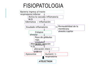 FISIOPATOLOGIA
Bacteria ingresa al tracto
respiratorio/inferior
Activa la cascada inflamatoria
M.O
Edematiza / inflamación
Exudado inflamatorio
Paso de glóbulos
rojo.
Unidades
alveolares
Permeabilidad de la
membrana
alveolo/capilar
Alteración -relación
V/Q
alteración interc /
gaseoso
hipoxemia Aument/ t-
respiratorio
Colapso
alveolar
ATELECTASIA
 