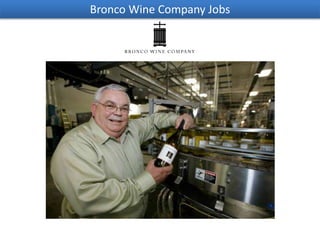 Bronco Wine Company Jobs
 