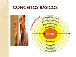 CONCEITOS BÁSICOSCONCEITOS BÁSICOS
 