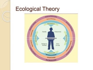 Ecological Theory
 