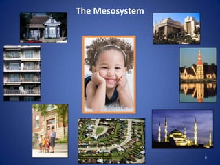 6The Mesosystem