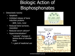 Biologic Action of
Bisphosphonates
 Osteoclastic toxicity
– Apoptosis
– Inhibited release of bone
induction proteins
 BMP, ILG1, ILG2
– Reduced bone turnover,
resorption
– Reduced serum calcium*
– Hypermineralization*
 “sclerotic” changes in
lamina dura of alveolar
bone
* = goal of medicinal use
ismohammed@phcc.gov.qa
 