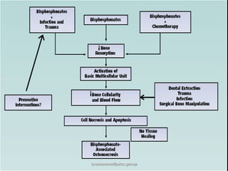 ismohammed@phcc.gov.qa
 