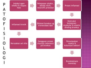 Induksi agen
infeksi & respon
host
Pelepasan sitokin,
oksida nitrit,
neutrofil protease
Proses inflamasi
Destruksi
komponen
muskular & elastis
dinding bronkus
Dilatasi bronkus yg
irreversibel/abn
Inflamasi kronik
Kerusakan sel silia
Gangguan proses
mucous clearance
pd bronkus
Penumpukan
mukus &
kolonisasi bakteri
Bronkiektasis
menetap
P
A
T
O
F
I
S
I
O
L
O
G
I
 
