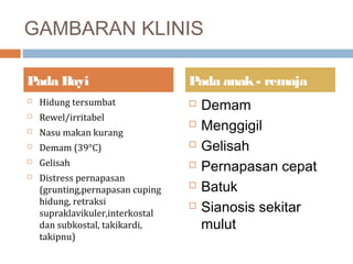 GAMBARAN KLINIS
 Hidung tersumbat
 Rewel/irritabel
 Nasu makan kurang
 Demam (39°C)
 Gelisah
 Distress pernapasan
(grunting,pernapasan cuping
hidung, retraksi
supraklavikuler,interkostal
dan subkostal, takikardi,
takipnu)
 Demam
 Menggigil
 Gelisah
 Pernapasan cepat
 Batuk
 Sianosis sekitar
mulut
Pada Bayi Pada anak- remaja
 