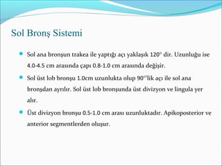  Sol ana bronşun trakea ile yaptığı açı yaklaşık 120° dir. Uzunluğu ise
4.0-4.5 cm arasında çapı 0.8-1.0 cm arasında değişir.
 Sol üst lob bronşu 1.0cm uzunlukta olup 90°'lik açı ile sol ana
bronşdan ayrılır. Sol üst lob bronşunda üst divizyon ve lingula yer
alır.
 Üst divizyon bronşu 0.5-1.0 cm arası uzunluktadır. Apikoposterior ve
anterior segmentlerden oluşur.
Sol Bronş Sistemi
 