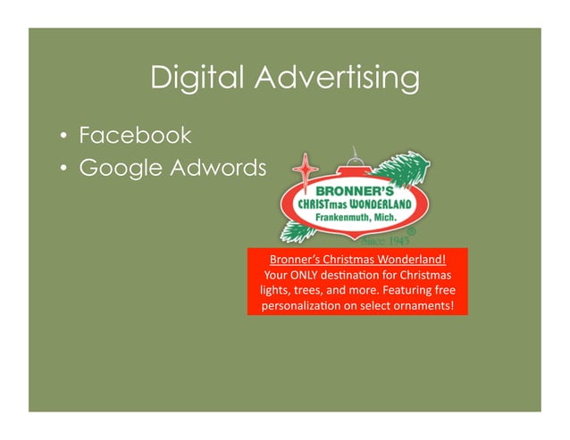 Bronner's Digital Strategy | PDF