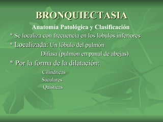 BRONQUIECTASIA Anatomía Patológica y Clasificación   * Se localiza con frecuencia en los lóbulos inferiores  *  Localizada:  Un lóbulo del pulmón  Difusa (pulmón en panal de abejas)  * Por la forma de la dilatación:  Cilíndricas Saculares Quísticas 