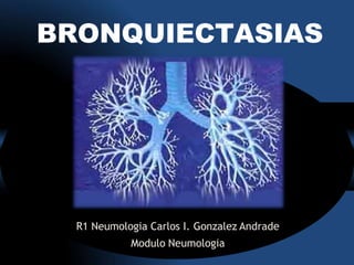 R1 Neumologia Carlos I. Gonzalez Andrade
Modulo Neumologia
BRONQUIECTASIAS
 