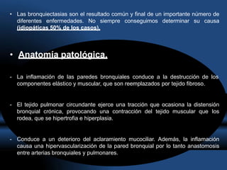 • Las bronquiectasias son el resultado común y final de un importante número de
diferentes enfermedades. No siempre conseguimos determinar su causa
(idiopáticas 50% de los casos).
• Anatomía patológica.
- La inflamación de las paredes bronquiales conduce a la destrucción de los
componentes elástico y muscular, que son reemplazados por tejido fibroso.
- El tejido pulmonar circundante ejerce una tracción que ocasiona la distensión
bronquial crónica, provocando una contracción del tejido muscular que los
rodea, que se hipertrofia e hiperplasia.
- Conduce a un deterioro del aclaramiento mucociliar. Además, la inflamación
causa una hipervascularización de la pared bronquial por lo tanto anastomosis
entre arterias bronquiales y pulmonares.
 
