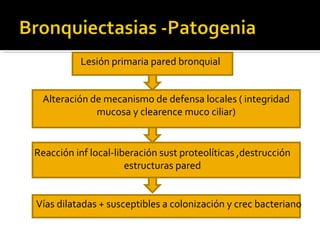 Lesión primaria pared bronquial
Alteración de mecanismo de defensa locales ( integridad
mucosa y clearence muco ciliar)
Reacción inf local-liberación sust proteolíticas ,destrucción
estructuras pared
Vías dilatadas + susceptibles a colonización y crec bacteriano
 