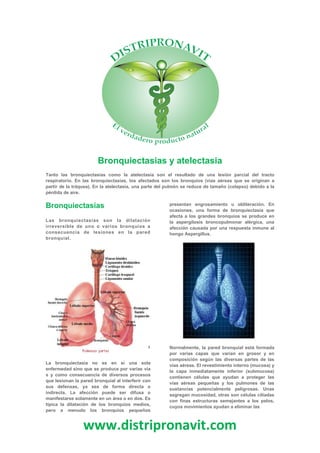 www.distripronavit.com
Bronquiectasias y atelectasia
Tanto las bronquiectasias como la atelectasia son el resultado de una lesión parcial del tracto
respiratorio. En las bronquiectasias, los afectados son los bronquios (vías aéreas que se originan a
partir de la tráquea). En la atelectasia, una parte del pulmón se reduce de tamaño (colapso) debido a la
pérdida de aire.
Bronquiectasias
Las bronquiectasias son la dilatación
irreversible de uno o varios bronquios a
consecuencia de lesiones en la pared
bronquial.
La bronquiectasia no es en sí una sola
enfermedad sino que se produce por varias vía
s y como consecuencia de diversos procesos
que lesionan la pared bronquial al interferir con
sus defensas, ya sea de forma directa o
indirecta. La afección puede ser difusa o
manifestarse solamente en un área o en dos. Es
típica la dilatación de los bronquios medios,
pero a menudo los bronquios pequeños
presentan engrosamiento u obliteración. En
ocasiones, una forma de bronquiectasia que
afecta a los grandes bronquios se produce en
la aspergilosis broncopulmonar alérgica, una
afección causada por una respuesta inmune al
hongo Aspergillus.
Normalmente, la pared bronquial está formada
por varias capas que varían en grosor y en
composición según las diversas partes de las
vías aéreas. El revestimiento interno (mucosa) y
la capa inmediatamente inferior (submucosa)
contienen células que ayudan a proteger las
vías aéreas pequeñas y los pulmones de las
sustancias potencialmente peligrosas. Unas
segregan mucosidad, otras son células ciliadas
con finas estructuras semejantes a los pelos,
cuyos movimientos ayudan a eliminar las
 