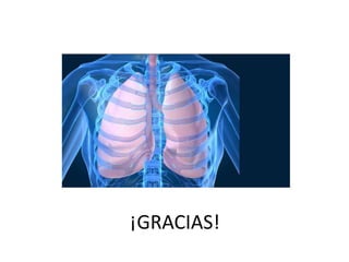 ¡GRACIAS!

 
