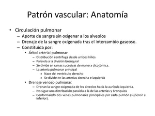 Patrón vascular: Anatomía
• Circulación pulmonar
– Aporte de sangre sin oxigenar a los alveolos
– Drenaje de la sangre oxigenada tras el intercambio gaseoso.
– Constituida por:
• Árbol arterial pulmonar
–
–
–
–

Distribución centrífuga desde ambos hilios
Paralela a la división bronquial
Se divide en ramas sucesivas de manera dicotómica.
La arteria pulmonar principal
» Nace del ventrículo derecho
» Se divide en las arterias derecha e izquierda

• Drenaje venoso pulmonar.
– Drenan la sangre oxigenada de los alveolos hacia la aurícula izquierda.
– No sigue una distribución paralela a la de las arterias y bronquios
– Conformando dos venas pulmonares principales por cada pulmón (superior e
inferior).

 
