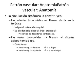Patrón vascular: AnatomíaPatrón
vascular: Anatomía
• La circulación sistémica la constituyen :
– Las arterias bronquiales => Ramas de la aorta
torácica
• Irrigan al sistema bronquial
• Se dividen siguiendo al árbol bronquial
– Proporción de dos arterias por bronquio.

– Las venas bronquiales => Drenan al sistema
ácigos-hemiácigos.
• Constituye:
– Vena bronquial derecha
– Vena bronquial izquierda

 A la ácigos
 A la hemiácigos.

 
