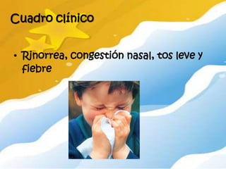 Cuadro clínico


• Rinorrea, congestión nasal, tos leve y
  fiebre
 
