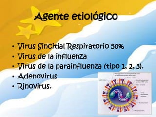 Agente etiológico


•   Virus Sincitial Respiratorio 50%
•   Virus de la influenza
•   Virus de la parainfluenza (tipo 1, 2, 3).
•   Adenovirus
•   Rinovirus.
 