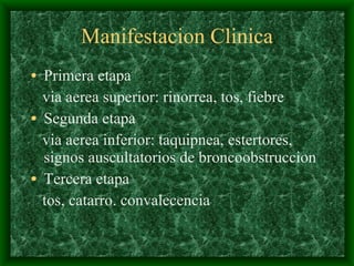 Manifestacion Clinica Primera etapa via aerea superior: rinorrea, tos, fiebre Segunda etapa via aerea inferior: taquipnea, estertores, signos auscultatorios de broncoobstruccion Tercera etapa tos, catarro. convalecencia 