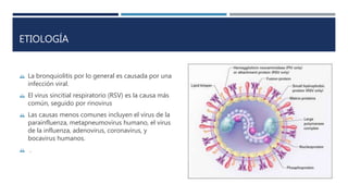 ETIOLOGÍA 
 La bronquiolitis por lo general es causada por una 
infección viral. 
 El virus sincitial respiratorio (RSV) es la causa más 
común, seguido por rinovirus 
 Las causas menos comunes incluyen el virus de la 
parainfluenza, metapneumovirus humano, el virus 
de la influenza, adenovirus, coronavirus, y 
bocavirus humanos. 
 . 
 