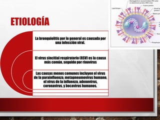 ETIOLOGÍA
La bronquiolitis por lo general es causada por
una infección viral.
El virus sincitial respiratorio (RSV) es la causa
más común, seguido por rinovirus
Las causas menos comunes incluyen el virus
de la parainfluenza, metapneumovirus humano,
el virus de la influenza, adenovirus,
coronavirus, y bocavirus humanos.
 