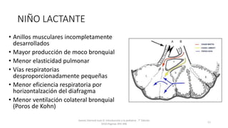 NIÑO LACTANTE
• Anillos musculares incompletamente
desarrollados
• Mayor producción de moco bronquial
• Menor elasticidad pulmonar
• Vías respiratorias
desproporcionadamente pequeñas
• Menor eficiencia respiratoria por
horizontalzación del diafragma
• Menor ventilación colateral bronquial
(Poros de Kohn)
Games Eternod Juan D. Introducción a la pediatria . 7° Edición
2010.Paginas 393-396
11
 