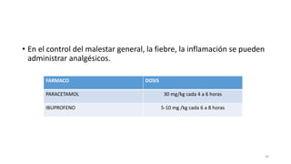 • En el control del malestar general, la fiebre, la inflamación se pueden
administrar analgésicos.
FARMACO DOSIS
PARACETAMOL 30 mg/kg cada 4 a 6 horas
IBUPROFENO 5-10 mg /kg cada 6 a 8 horas
40
 