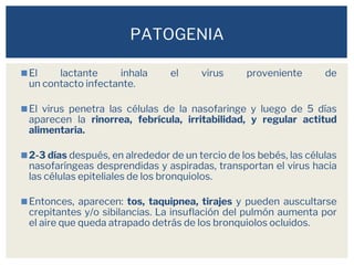 ◼El lactante inhala el virus proveniente de
un contacto infectante.
◼El virus penetra las células de la nasofaringe y luego de 5 días
aparecen la rinorrea, febrícula, irritabilidad, y regular actitud
alimentaria.
◼2-3 días después, en alrededor de un tercio de los bebés, las células
nasofaríngeas desprendidas y aspiradas, transportan el virus hacia
las células epiteliales de los bronquiolos.
◼Entonces, aparecen: tos, taquipnea, tirajes y pueden auscultarse
crepitantes y/o sibilancias. La insuflación del pulmón aumenta por
el aire que queda atrapado detrás de los bronquiolos ocluidos.
PATOGENIA
 