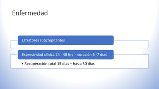 Enfermedad
Estertores subcrepitantes
• Recuperación total 15 dias – hasta 30 dias.
Expresividad clínica 24 - 48 hrs - duración 5 -7 días
 