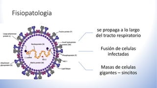 Fisiopatologia
VRS
se propaga a lo largo
del tracto respiratorio
Fusión de celulas
infectadas
Masas de celulas
gigantes – sincitos
 
