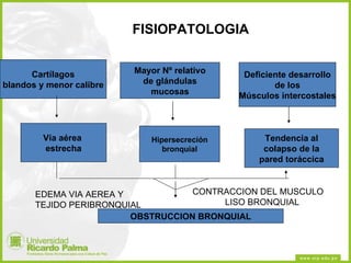 OBSTRUCCION BRONQUIAL Cartílagos blandos y menor calibre Hipersecreción bronquial Deficiente desarrollo de los Músculos intercostales Vía aérea  estrecha Mayor Nº relativo de glándulas mucosas FISIOPATOLOGIA Tendencia al colapso de la pared toráccica EDEMA VIA AEREA Y TEJIDO PERIBRONQUIAL CONTRACCION DEL MUSCULO  LISO BRONQUIAL 