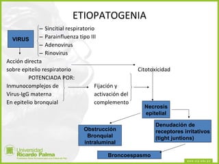 ETIOPATOGENIA Sincitial respiratorio Parainfluenza tipo III Adenovirus Rinovirus Acción directa sobre epitelio respiratorio Citotoxicidad POTENCIADA POR: Inmunocomplejos de  Fijación y Virus-IgG materna activación del En epitelio bronquial complemento Reflejo vagal VIRUS Necrosis epitelial Obstrucción Bronquial intraluminal Denudación de receptores irritativos (tight juntions) Broncoespasmo 