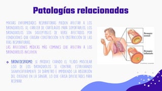 Patologías relacionadas

 