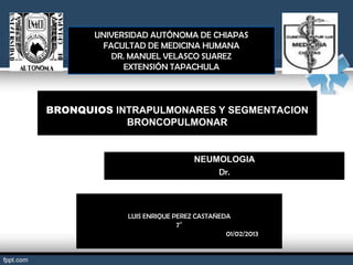 UNIVERSIDAD AUTÓNOMA DE CHIAPAS
        FACULTAD DE MEDICINA HUMANA
          DR. MANUEL VELASCO SUAREZ
             EXTENSIÓN TAPACHULA



BRONQUIOS INTRAPULMONARES Y SEGMENTACION
            BRONCOPULMONAR


                               NEUMOLOGIA
                                   Dr.



             LUIS ENRIQUE PEREZ CASTAÑEDA
                          7°
                                       01/02/2013
 