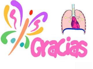 Bronquios y pulmones