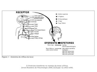 II Diretrizes brasileiras no manejo da tosse crônica.
Jornal Brasileiro de Pneumologia 2006;32(Suppl. 6):s403-s446.
 