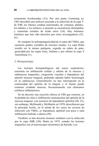 28 LA BRONQUITIS INFECCIOSA DE LAS AYES
seriamente involucradas (13). Por otra parte, Cumming en
1963 describió una nefrosis asociada a la infección de la cepa T
de VBI; los riñones estaban aumentados de volumen, pálidos,
los tubulos y los uréteres, a menudo se encontraron distendidos
y contenían cristales de ácido urico (14). Hay informes
similares que han sido descritos por otros investigadores (23,
41).
Se comparó la nefropatogenicidad de 4 cepas del VBIA, que
causaron grados variables de lesiones renales. La cepa Holte
resultó ser la menos patógena, seguida en orden de pato-
genicidad por las cepas Grey, Italiana y por ultimo la cepa T
Australiana (1).
2. Histopatología
Las lesiones histopatológicas del tracto respiratorio,
consisten en infiltración celular y edema de la mucosa y
submucosa traqueales, congestión vascular e hiperplasia del
epitelio mucoso traqueal, pudiendo además haber hemorragia
en la submucosa. Generalmente no hay interrupción en la
continuidad del epitelio de la tráquea y el lumen puede
contener exudado mucoso, frecuentemente con elementos
celulares inflamatorios.
Se ha descrito una reacción clásica al VBI que consiste, en
la pérdida de cilios e infiltración mononuclear del epitelio de la
mucosa traqueal, con ausencia de hiperplasia epitelial (20, 21),
sin embargo, McDonald y McMartin en 1970, describieron que
la principal lesión, en la mitad de los casos no severos de
infección con VBIA, es hiperplasia epitelial con poca 0 nula
infiltración linfoide 0 edema (29).
También se han descrito lesiones similares con la infección
por la cepa JMK (20). Dutta en 1975, estudio las lesiones
traqueales con el microscopio electrónico de barrido. Las
 