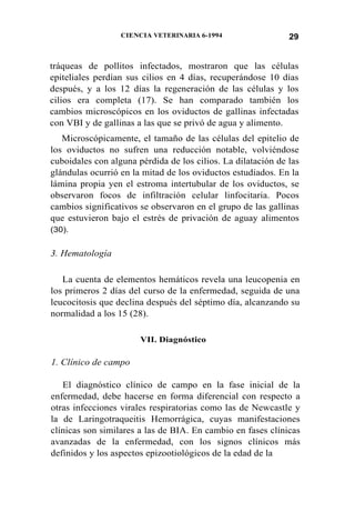 CIENCIA VETERINARIA 6-1994 29
tráqueas de pollitos infectados, mostraron que las células
epiteliales perdían sus cilios en 4 días, recuperándose 10 días
después, y a los 12 días la regeneración de las células y los
cilios era completa (17). Se han comparado también los
cambios microscópicos en los oviductos de gallinas infectadas
con VBI y de gallinas a las que se privó de agua y alimento.
Microscópicamente, el tamaño de las células del epitelio de
los oviductos no sufren una reducción notable, volviéndose
cuboidales con alguna pérdida de los cilios. La dilatación de las
glándulas ocurrió en la mitad de los oviductos estudiados. En la
lámina propia yen el estroma intertubular de los oviductos, se
observaron focos de infiltración celular linfocitaria. Pocos
cambios significativos se observaron en el grupo de las gallinas
que estuvieron bajo el estrés de privación de aguay alimentos
(30).
3. Hematología
La cuenta de elementos hemáticos revela una leucopenia en
los primeros 2 días del curso de la enfermedad, seguida de una
leucocitosis que declina después del séptimo día, alcanzando su
normalidad a los 15 (28).
VII. Diagnóstico
1. Clínico de campo
El diagnóstico clínico de campo en la fase inicial de la
enfermedad, debe hacerse en forma diferencial con respecto a
otras infecciones virales respiratorias como las de Newcastle y
la de Laringotraqueitis Hemorrágica, cuyas manifestaciones
clínicas son similares a las de BIA. En cambio en fases clínicas
avanzadas de la enfermedad, con los signos clínicos más
definidos y los aspectos epizootiológicos de la edad de la
 