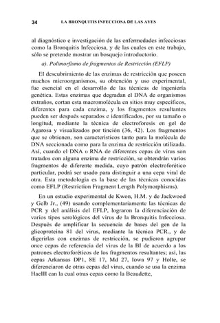 34 LA BRONQUITIS INFECCIOSA DE LAS AYES
al diagnóstico e investigación de las enfermedades infecciosas
como la Bronquitis Infecciosa, y de las cuales en este trabajo,
sólo se pretende mostrar un bosquejo introductorio.
a). Polimorfismo de fragmentos de Restricción (EFLP)
EI descubrimiento de las enzimas de restricción que poseen
muchos microorganismos, su obtención y uso experimental,
fue esencial en el desarrollo de las técnicas de ingeniería
genética. Estas enzimas que degradan el DNA de organismos
extraños, cortan esta macromolécula en sitios muy específicos,
diferentes para cada enzima, y los fragmentos resultantes
pueden ser después separados e identificados, por su tamaño o
longitud, mediante la técnica de electroforesis en gel de
Agarosa y visualizados por tinción (36, 42). Los fragmentos
que se obtienen, son característicos tanto para la molécula de
DNA seccionada como para la enzima de restricción utilizada.
Así, cuando el DNA 0 RNA de diferentes cepas de virus son
tratados con alguna enzima de restricción, se obtendrán varios
fragmentos de diferente medida, cuyo patrón electroforético
particular, podrá ser usado para distinguir a una cepa viral de
otra. Esta metodología es la base de las técnicas conocidas
como EFLP (Restriction Fragment Length Polymorphisms).
En un estudio experimental de Kwon, H.M. y de Jackwood
y Gelb Jr., (49) usando complementariamente las técnicas de
PCR y del análisis del EFLP, lograron la diferenciación de
varios tipos serológicos del virus de la Bronquitis Infecciosa.
Después de amplificar la secuencia de bases del gen de la
glicoproteína 81 del virus, mediante la técnica PCR., y de
digerirlas con enzimas de restricción, se pudieron agrupar
once cepas de referencia del virus de la BI de acuerdo a los
patrones electroforéticos de los fragmentos resultantes; así, las
cepas Arkansas DP1, 8E 17, Md 27, Iowa 97 y Holte, se
diferenciaron de otras cepas del virus, cuando se usa la enzima
HaeIII can la cual otras cepas como la Beaudette,
 