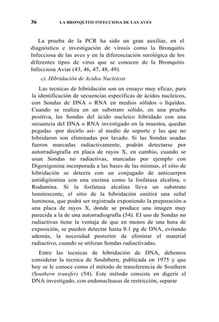 36 LA BRONQUITIS INFECCIOSA DE LAS AVES
La prueba de la PCR ha sido un gran auxiliar, en el
diagnóstico e investigación de virosis como la Bronquitis
Infecciosa de las aves y en la diferenciación serológica de los
diferentes tipos de virus que se conocen de la Bronquitis
Infecciosa Aviar (43, 46, 47, 48, 49).
c). Hibridación de Acidos Nucleicos
Las tecnicas de hibridación son un ensayo muy eficaz, para
la identificación de secuencias específicas de ácidos nucleicos,
con Sondas de DNA 0 RNA en medios sólidos 0 líquidos.
Cuando se realiza en un substrato sólido, en una prueba
positiva, las Sondas del ácido nucleico hibridado con una
secuencia del DNA 0 RNA investigado en la muestra, quedan
pegadas -por decirlo así- al medio de soporte y las que no
hibridaron son eliminadas por lavado. Si las Sondas usadas
fueron marcadas radiactivamente, podrán detectarse por
autorradiografía en placa de rayos X, en cambio, cuando se
usan Sondas no radiactivas, marcadas por ejemplo con
Digoxigenina incorporada a las bases de las mismas, el sitio de
hibridación se detecta con un conjugado de anticuerpos
antidigitonina con una enzima como la fosfatasa alcalina, 0
Rodamina. Si la fosfatasa alcalina lleva un substrato
luminiscente, el sitio de la hibridación emitirá una señal
luminosa, que podrá ser registrada exponiendo la preparación a
una placa de rayos X, donde se produce una imagen muy
parecida a la de una autorradiografía (54). EI uso de Sondas no
radiactivas tiene la ventaja de que en menos de una hora de
exposición, se pueden detectar hasta 0.1 pg de DNA, evitando
además, la necesidad posterior de eliminar el material
radiactivo, cuando se utilizan Sondas radiactivadas.
Entre las tecnicas de hibridación de DNA, debemos
considerar la tecnica de Souhthern, publicada en 1975 y que
hoy se le conoce como el método de transferencia de Southern
(Southern transfer) (54). Este método consiste en digerir el
DNA investigado, con endonucleasas de restricción, separar
 