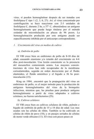 23CIENCIA VETERINARIA 6·1994
virus, sí pueden hemoaglutinar después de ser tratadas con
fosfolipasa C tipo 1 (2, 3, 6, 27). Así, el virus concentrado por
centrifugación se hace reaccionar con 2-3 unidades de
fosfolipasa C, durante 2 hs, a 37° C, obteniéndose un antígeno
hemoaglutinante que puede luego titularse por el método
estándar de microtitulación en placas de 96 pozos. La
hemoaglutinación producida por este antígeno puede ser
específicamente inhibida por el anticuerpo correspondiente.
1. Crecimiento del virus en medios de cultivo
a). Embrión de pollo
EI VBI crece bien en embriones de pollo de 8-10 días de
edad, causando enanismo y/o retardo del crecimiento en 4-6
días post-inoculación. Una lesión consistente es la presencia
del mesonefros conteniendo uratos. Las mayores concen-
traciones de virus han sido recuperadas de la membrana
corioalantoidea, seguida en orden decreciente por el fluído
alantoideo, el fluído amniótico y el hígado a 36 hs post-
inoculación (15).
King en 1984, .encontró que la propagación del virus en
embriones de pollo, es el mejor método para la producción de
antígenos hemoaglutinantes del virus de la bronquitis
infecciosa, mientras que, las pruebas para producir antígeno
hemoaglutinante a partir de virus adaptados a cultivos
celulares, no fueron satisfactorios (25).
b). Cultivos celulares
EI VBI crece bien en cultivos celulares de riñón, pulmón e
hígado de embrión de pollo de 15 a 18 días de edad. Las mas
usadas son las células de riñón. También se ha cultivado en
células de riñón de pavo (10), y en pasajes seriados de células
de mono verde africano (11). EI virus con pocos pases en
 