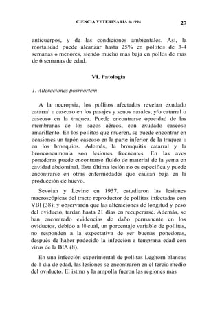 CIENCIA VETERINARIA 6-1994 27
anticuerpos, y de las condiciones ambientales. Así, la
mortalidad puede alcanzar hasta 25% en pollitos de 3-4
semanas 0 menores, siendo mucho mas baja en pollos de mas
de 6 semanas de edad.
VI. Patología
1. Alteraciones posrnortem
A la necropsia, los pollitos afectados revelan exudado
catarral 0 caseoso en los pasajes y senos nasales, y/o catarral o
caseoso en la traquea. Puede encontrarse opacidad de las
membranas de los sacos aéreos, con exudado caseoso
amarillento. En los pollitos que mueren, se puede encontrar en
ocasiones un tapón caseoso en la parte inferior de la traquea 0
en los bronquios. Además, la bronquitis catarral y la
bronconeumonía son lesiones frecuentes. En las aves
ponedoras puede encontrarse fluído de material de la yema en
cavidad abdominal. Esta última lesión no es específica y puede
encontrarse en otras enfermedades que causan baja en la
producción de huevo.
Sevoian y Levine en 1957, estudiaron las lesiones
macroscópicas del tracto reproductor de pollitas infectadas con
VBl (38); y observaron que las alteraciones de longitud y peso
del oviducto, tardan hasta 21 días en recuperarse. Además, se
han encontrado evidencias de daño permanente en los
oviductos, debido a 10 cual, un porcentaje variable de pollitas,
no responden a la expectativa de ser buenas ponedoras,
después de haber padecido la infección a temprana edad con
virus de la BlA (8).
En una infección experimental de pollitas Leghorn blancas
de 1 día de edad, las lesiones se encontraron en el tercio medio
del oviducto. El istmo y la ampolla fueron las regiones más
 