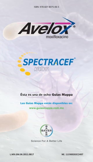 ISBN: 978-607-8075-06-5

Ésta es una de ocho Guías Mappa
Las Guías Mappa están disponibles en:
www.guiasmappa.com.mx

L.MX.GM.06.2011.0817

NE. 113300202C2497

 