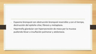  Espasmo bronquial con obstrucción bronquial reversible y con el tiempo, 
destrucción del epitelio ciliar, fibrosis y metaplasia. 
 Hipertrofia glandular con hipersecreción de moco por la mucosa 
pudiendo llevar a insuflación pulmonar y atelectasia. 
 