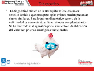 Diagnostico
• El diagnóstico clínico de la Bronquitis Infecciosa no es
sencillo debido a que otras patologías aviares pueden presentar
signos similares. Para lograr un diagnóstico certero de la
enfermedad es conveniente utilizar métodos complementarios.
Se ha realizado el diagnóstico por aislamiento e identificación
del virus con pruebas serológicas tradicionales
 