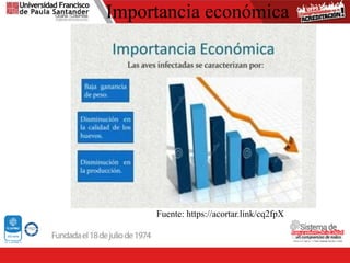 Importancia económica
Fuente: https://acortar.link/cq2fpX
 