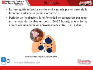 Etiología
• La bronquitis infecciosa aviar está causada por el virus de la
bronquitis infecciosa gammacoronavirus.
• Periodo de incubación: la enfermedad se caracteriza por tener
un periodo de incubación corto (24-72 horas), y una forma
clínica con una duración aproximada de entre 10 a 14 días.
Fuente: https://acortar.link/sKBOYL
 