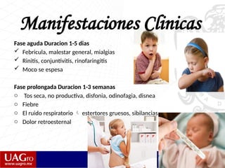 Manifestaciones Clinicas
Fase aguda Duracion 1-5 dias
 Febricula, malestar general, mialgias
 Rinitis, conjuntivitis, rinofaringitis
 Moco se espesa
Fase prolongada Duracion 1-3 semanas
o Tos seca, no productiva, disfonia, odinofagia, disnea
o Fiebre
o El ruido respiratorio  estertores gruesos, sibilancias.
o Dolor retroesternal
 
