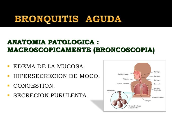 Bronquitis Aguda bronquitis-aguda