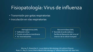 Murray, P., Rosenthal, K. (2013) Medical Microbiology (7th edition) Elsevier.
Ryan, K., Ray, G. (2010) Sherris Medical Microbiology (5th edition) McGraw-Hill: NewYork.
Hemaglutinina (HA)
 Adhesión vírica
 Fusión envoltura-membrana
 Ac neutralizantes
Neuraminidasa (NA)
 Escinde el acido sialico y
facilita la liberación del virus al
interior de la célula huésped
 